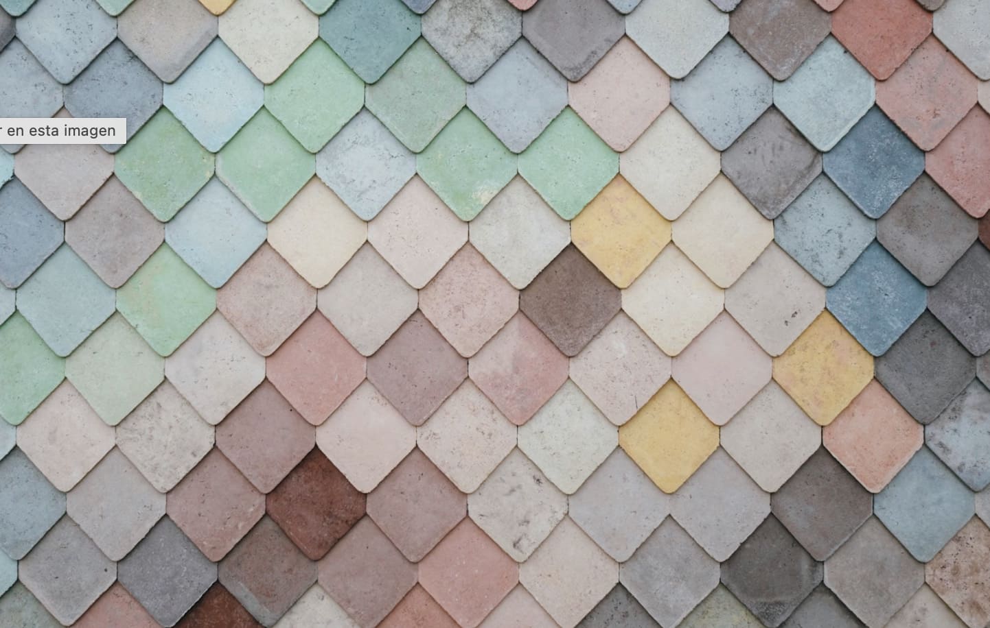 interioristas murcia